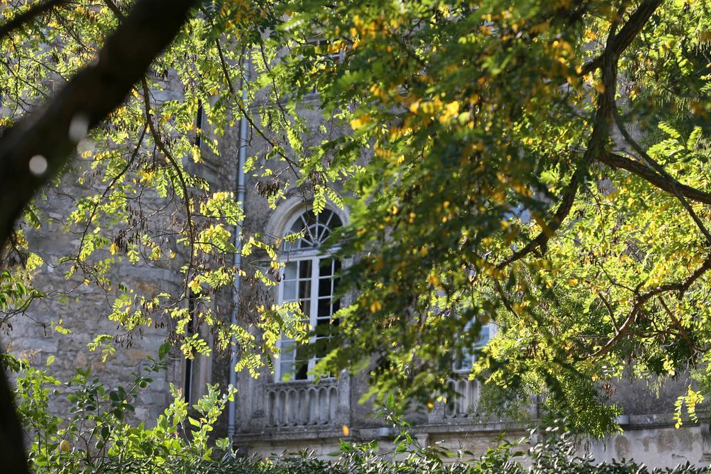 Chateau D'Agel Chambres D'Hotes Bagian luar foto