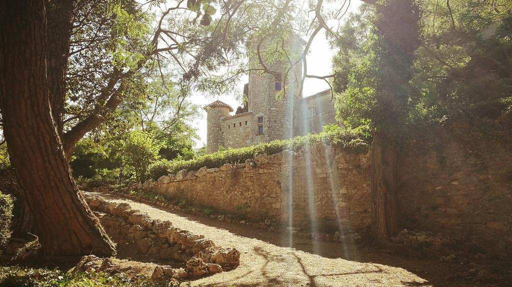 Chateau D'Agel Chambres D'Hotes Bagian luar foto